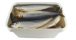 Sled v slanom náleve, vedro (netto 7,5 kg) Mooijer