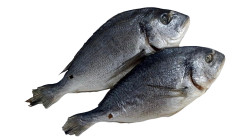 Dorada sušená сса 300–400g