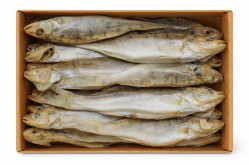 Candat (sudak) Vjalený cca 300g