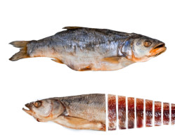 Žeroch  sušená ryba cca 350g