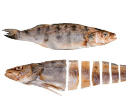 Candat (sudak) Vjalený cca 300g