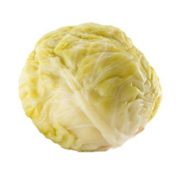 Kyslá kapusta na závitky 3 kg Murata (hlávka)