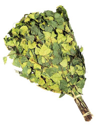 Brezový venik s palinou 55-60cm