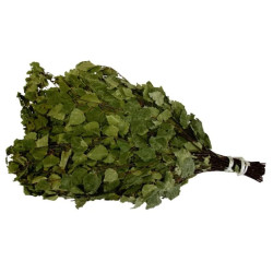 Brezový venik dlja bani