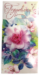 Darčeková obalka na peniaze MIX