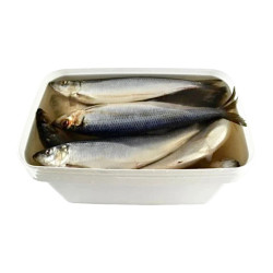 Sleď v slanom náleve vedro (čistá hmotnosť 7 kg) Rud