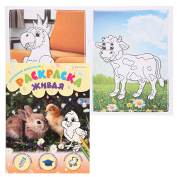 Raskraska Zhivaya: Domashnie zhivotnye