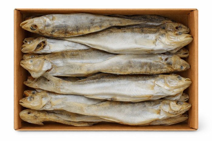 detail Candat (sudak) Vjalený cca 300g