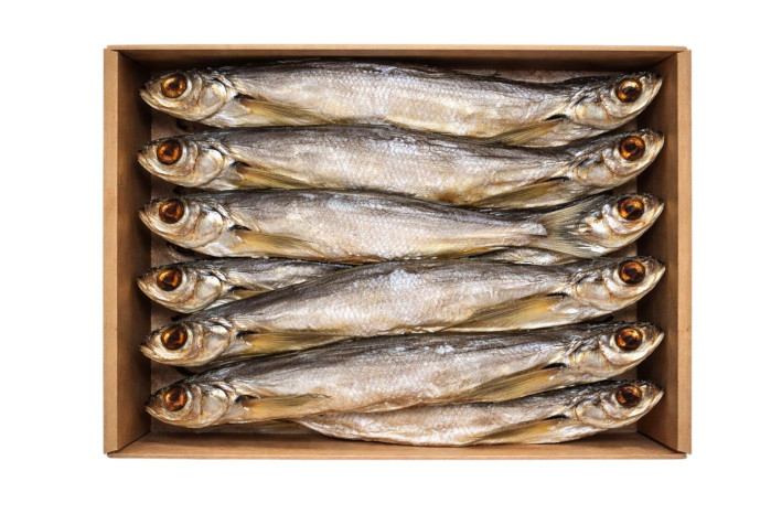 detail Čehoň s hlavou vykuchaný sušený