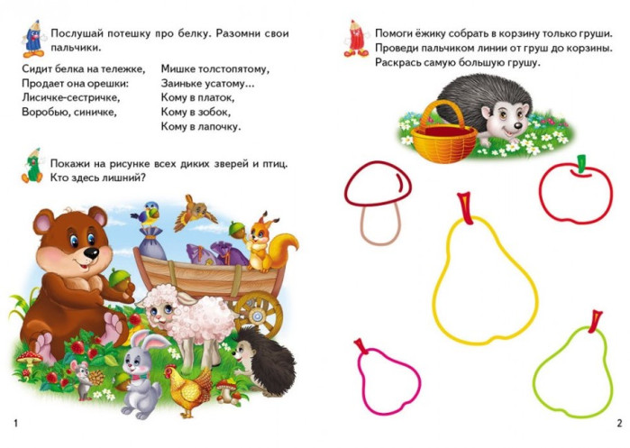 detail Igrovye propisi 2+ 