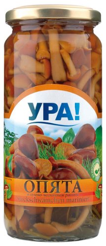 detail Nakládana václavka s česnekem URA 270g