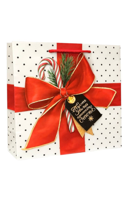 detail Darčeková taška „Červené mašle“ 27×23 cm