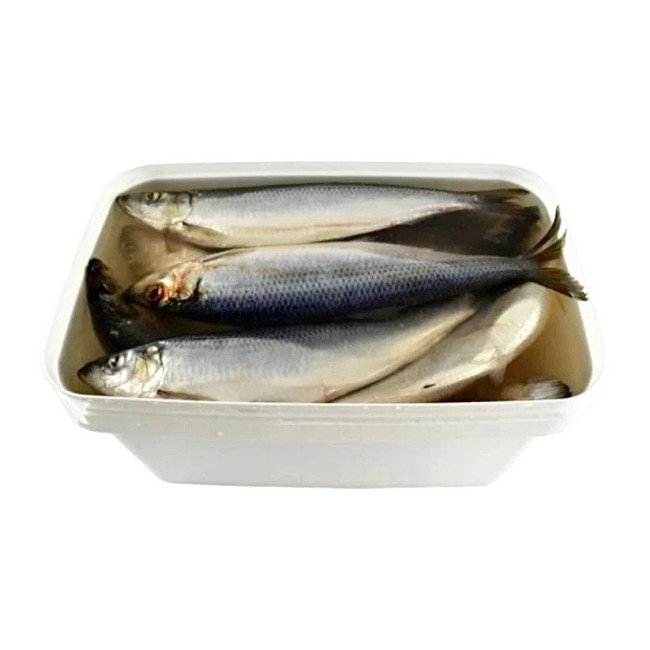 detail Sleď v slanom náleve vedro (čistá hmotnosť 7 kg) Rud