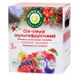 nahlad Multifruitový džus-smoothie 3,0L Garden Gadz