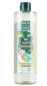 nahlad Šampón 2 v 1 + kondicionér Birch Pro pre celú rodinu, 240 ml Č.L.