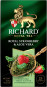 nahlad Čaj Royal Strawberry & Aloe Vera 25×1,5 g Richard