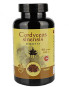 nahlad Cordyceps čínsky extrakt 90 kapsúl Herbin